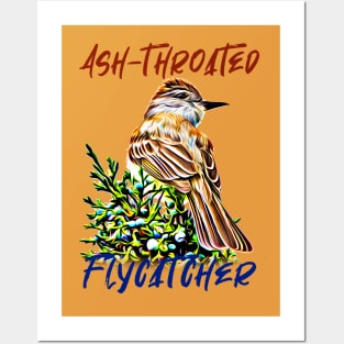 Ash-throated flycatcher Posters and Art